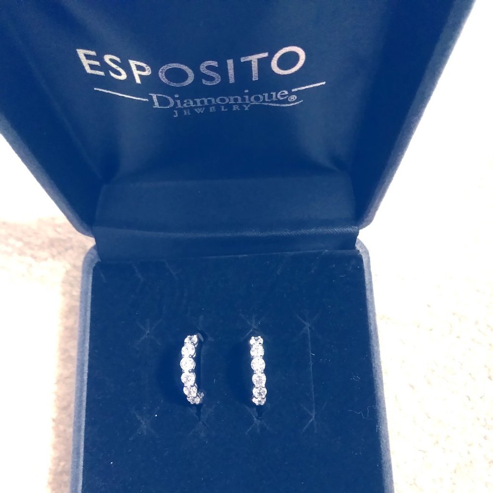 NIB Esposito "Inside Out" small sterling hoops
